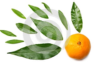 mandarin with slices and green leaf isolated on white background top view