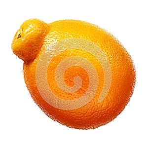 Mandarin, tangerine citrus fruit isolated on white