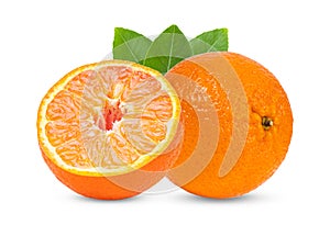 Mandarin, tangerine citrus fruit isolated on white background.