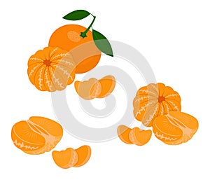 Mandarin, tangerine, clementine with leaves isolated on white background. Citrus fruit. Vector Illustration