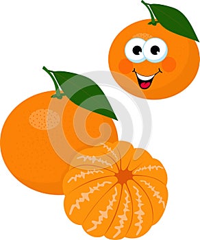 Mandarin, tangerine, clementine with leaves isolated on white background. Funny cartoon character. Raster Illustration