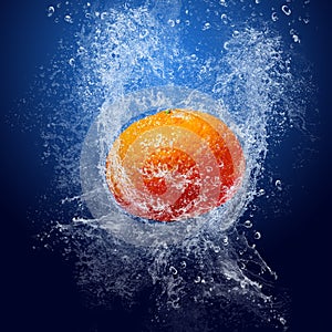 Mandarin under water