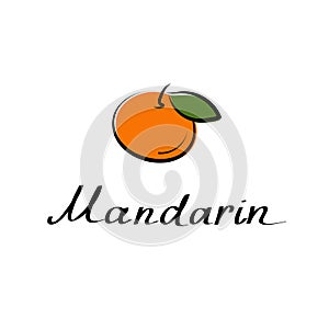 Mandarin vector cartoon flat illustration. Citrus tangerine, clementine sign. Fruit and vegetable logo