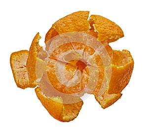 Mandarin white isolated background