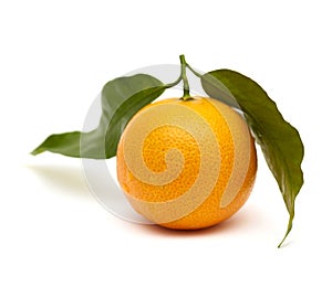 Mandarin on white