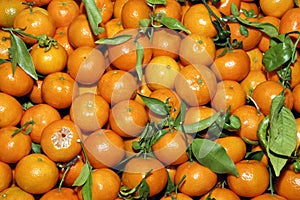Mandarinas photo