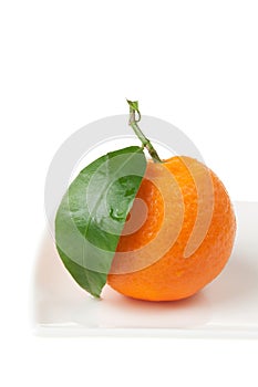 Mandarine Closeup on White
