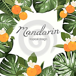 Mandarine fruit monstera leaves frame