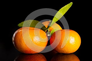 Mandarine with a leaf isolated on black glass