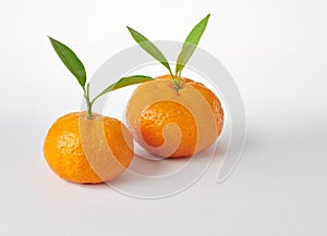 Mandarine Orange on white background