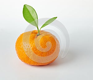 Mandarine Orange on white background