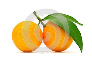 Mandarine