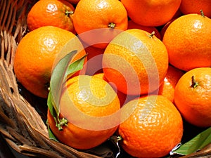 Mandarines in a basket