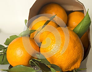 Mandarines Leaves Paper bag Close up