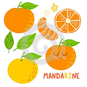 Mandarines, tangerine, clementine with leaves isolated on white background