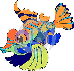 Mandarinfish