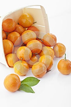 Mandarins