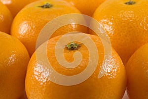 Mandarins photo