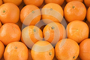 Mandarins