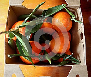 Mandarins with leaves in carboard box