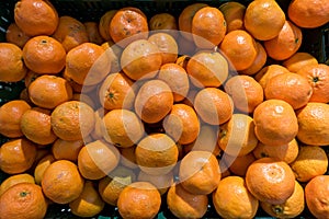 Mandarins