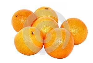 Mandarins - pure white background photo