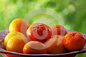 Mandarins Tangerines Closeup