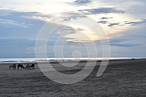 Mandarmoni sea beach during sunset