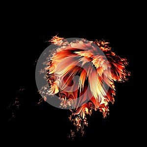 mandelbrot type fractal patterns and designs from exploding red-hot lava