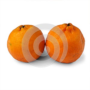 Manderine Oranges