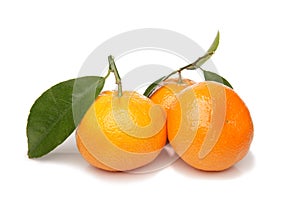 Manderine, Tangerine, Orange