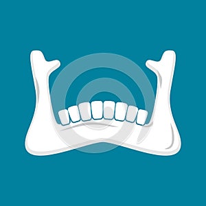 Mandible human . Lower jaw. Anatomy of bone. Part of sku