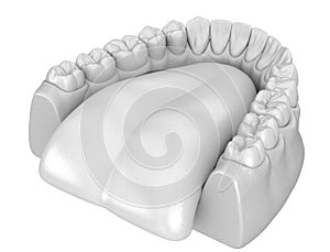 Mandibular human gum and teeth anatomy. Medically accurate tooth illustration