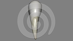 The mandibular second premolar is the tooth located distally from both the mandibular first premolars of the mouth