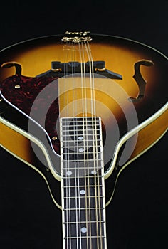 Mandolin 5 photo