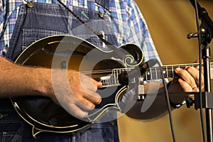 Mandolin photo