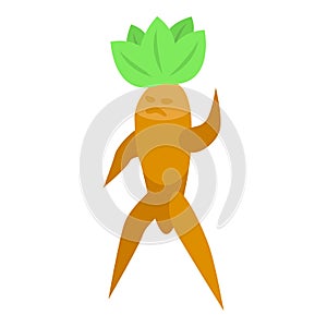 Mandragora icon isometric vector. Leaf green photo