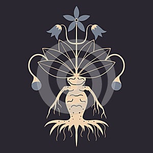 Mandragora Magic Plant Witchcraft Occult Icon photo