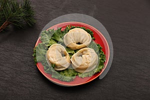 Mandu, a Korean-style dumpling