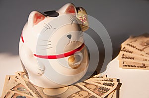 Maneki-neko, Japanese lucky cat with Yen bank note