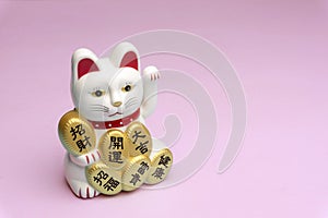 Maneki neko lucky cat doll with hieroglyphs words Health, Happiness, Money, Great Luck, Lucky and Good Fortune