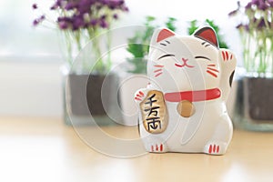 Maneki neko lucky cat show text on hand meaning rich on table, select focus