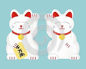 Maneki-neko or lucky cat . Vector illustration isolated photo