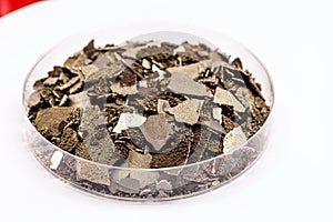 Manganese samples in petri dish, pure manganese metal flakes used in industry, isolated white background