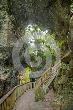 Mangapohue Natural Bridge at New Zealand