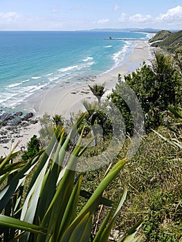 Mangawhai cliff walk: distant coast view