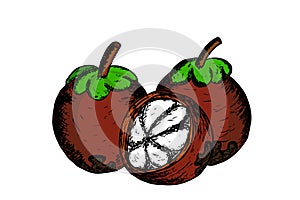 Manggis, indonesian fruit