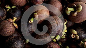 Manggis ( mangosteen)