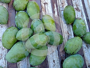 Manggo fruits from Mollusca