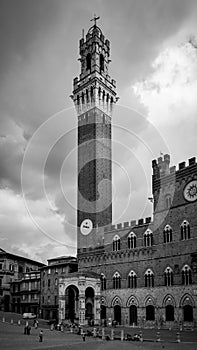 Mangia Tower in Siena
